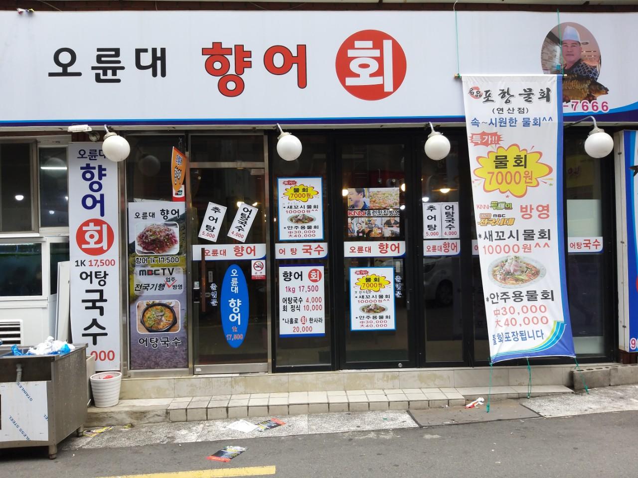 클린하이(18.12.21_21.9.27일까지)-부산 연산동 오륜대향어회-13847364507.jpg